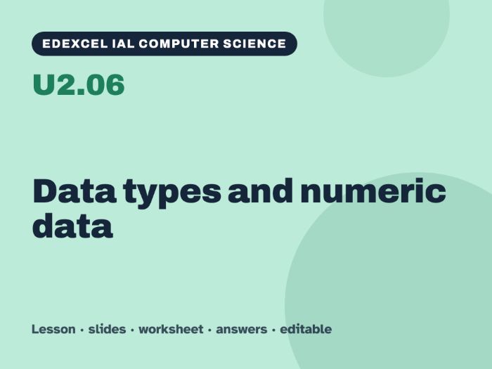 Edexcel IAL Computer Science – U2.06 Data types and numeric data – Lesson & Worksheet