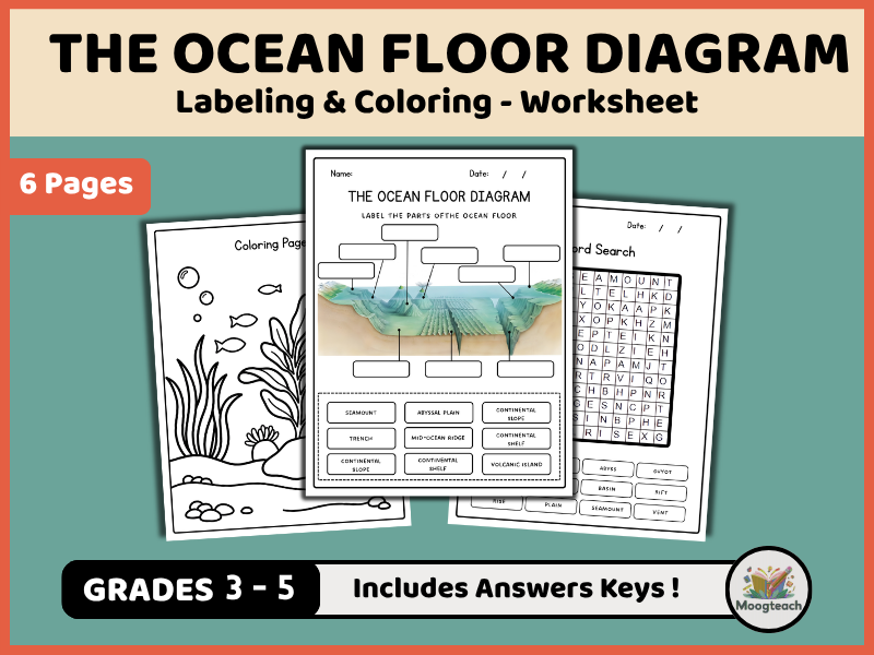 Ocean Floor Anatomy | Deep Sea Geography | Labeling | Coloring Worksheet | KS1 | KS2 | KS3