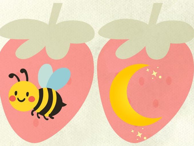 Strawberry Picking Phase 3 Words