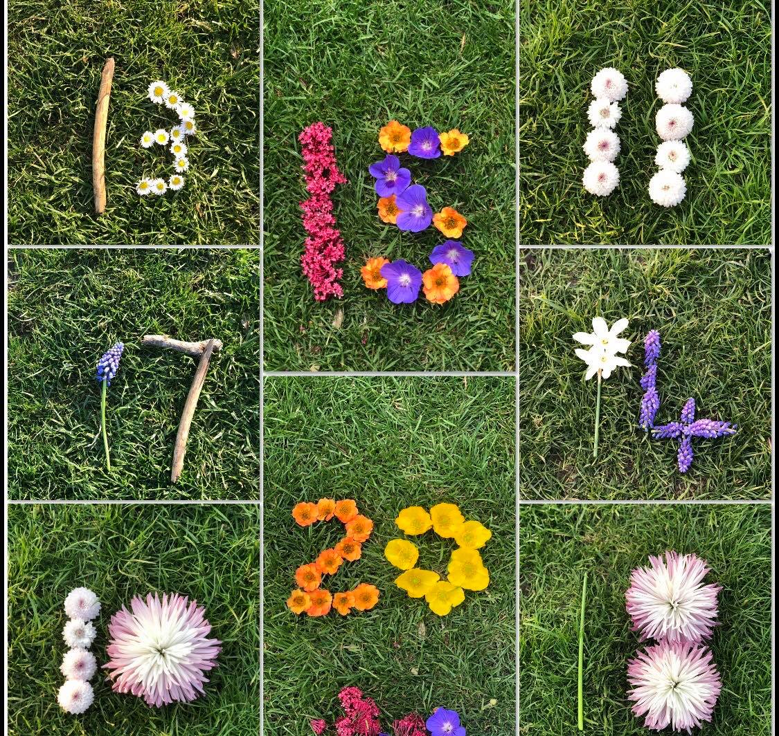 Natural Numbers 11 20 Teaching Resources