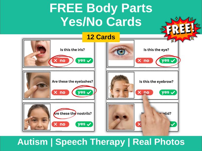 FREE Body Parts Yes/No Cards Autism