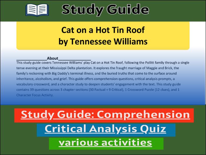 Study Guide for :Cat on a Hot Tin Roof | Comprehension 91����t