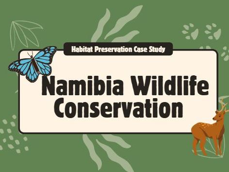 Habitat Preservation Case Study – Namibia Wildlife Conservation | KS3 Worksheet