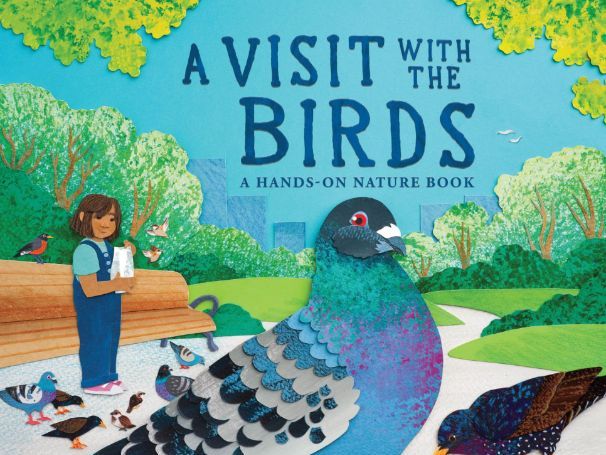 A Visit with the Birds: A Hands-On Nature Book by Sara Levine Activity Kit