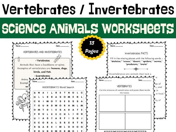 Vertebrates And Invertebrates Animal Classification Animal Science Vertebrates And Invertebrates Animal Classification Animal Science