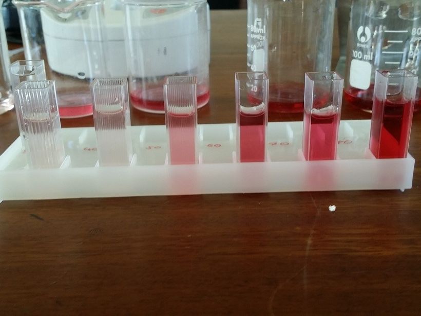 Effect of Temperature on Beetroot Cells | Teaching Resources