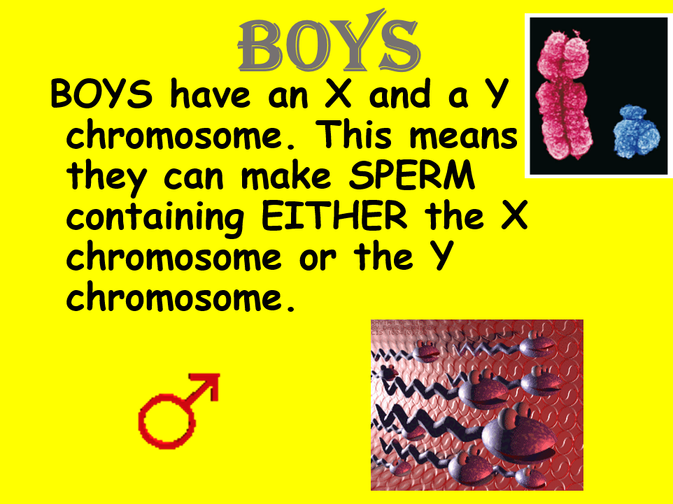 Edexcel CB3 SB3 Inheritance Complete Lesson - GCSE Biology/ Combined Science