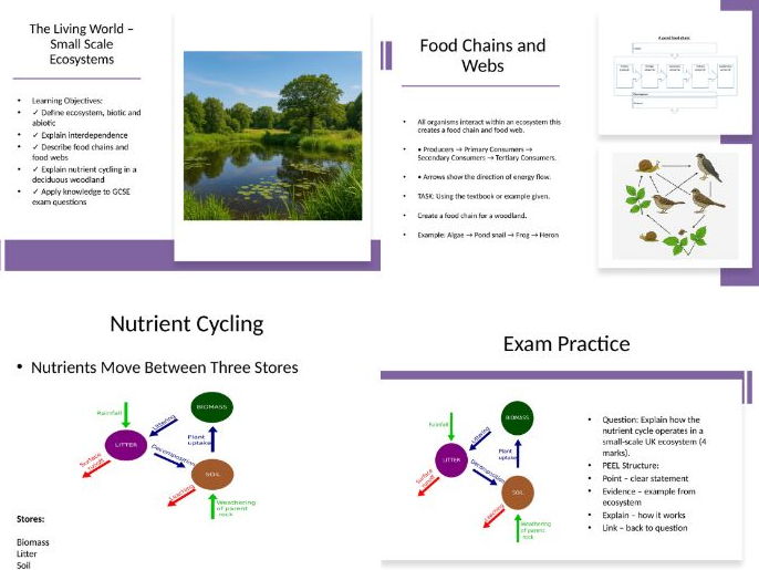 AQA GCSE Geography The Living World   TRF  not deserts/cold climates.