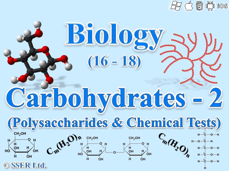 BioA_3.1.2 The Nature of Carbohydrates - 2 Polysaccharides & Food Tests