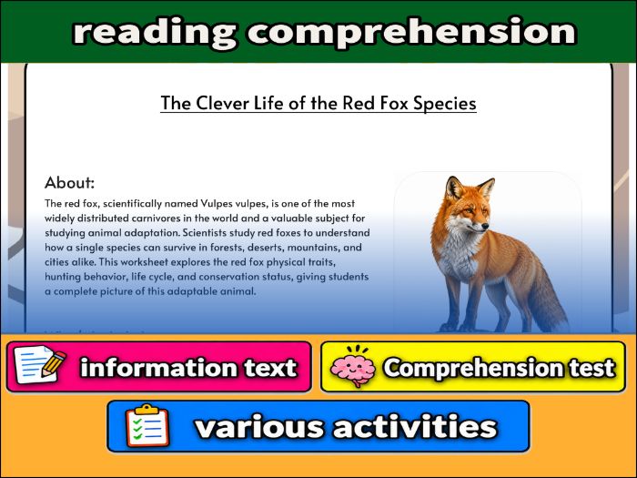 The Clever Life of the Red Fox Species - zoology & Activities