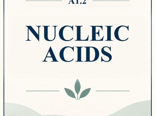 IB Biology HL A1.2 Nucleic Acids MCQ Practice