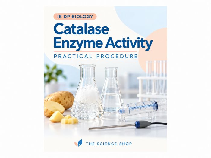 IB Biology Practical: Catalase Enzyme Activity Investigation