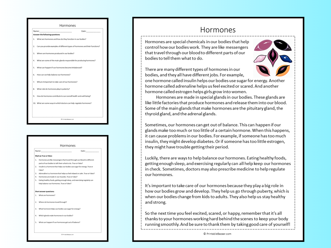 Hormones Reading Comprehension Passage Printable Worksheet | Teaching ...