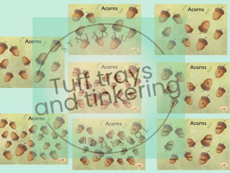 acorns subitising maths early years english ordering number bonds