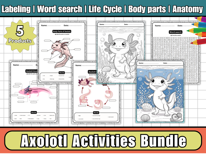Axolotl Activities Bundle – Anatomy, Body Parts, Life Cycle Worksheets, Coloring Pages & Word Search | Ocean Science Pack
