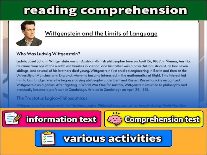 Wittgenstein and the Limits of Language- Reading Comprehension, Worksheet & Activities