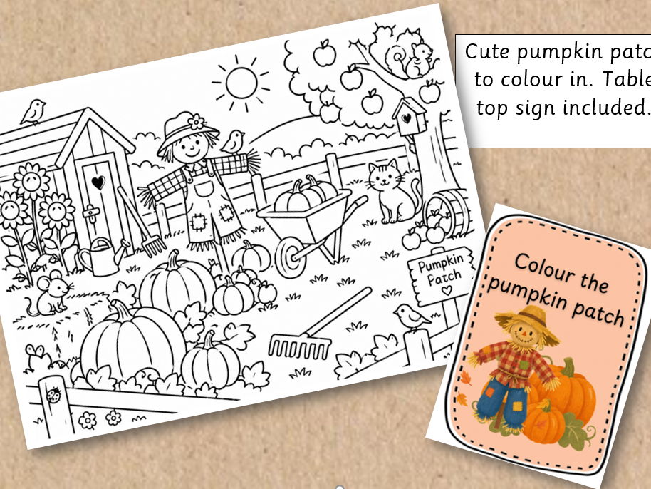 Pumpkin Patch