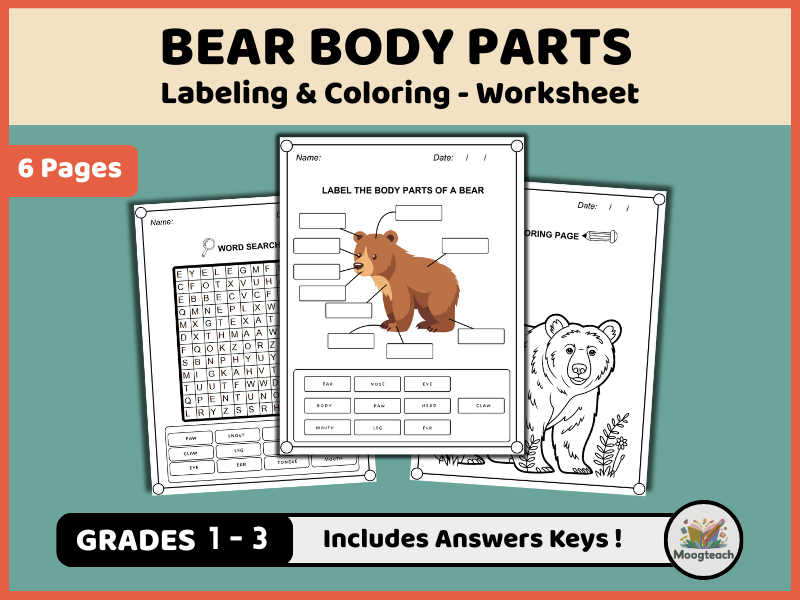 Bear Body Parts in English | Forest Animal Labeling, Coloring & Word Search Worksheets