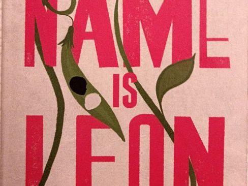 My Name is Leon GCSE exam style questions, extract and wider GCSE questions