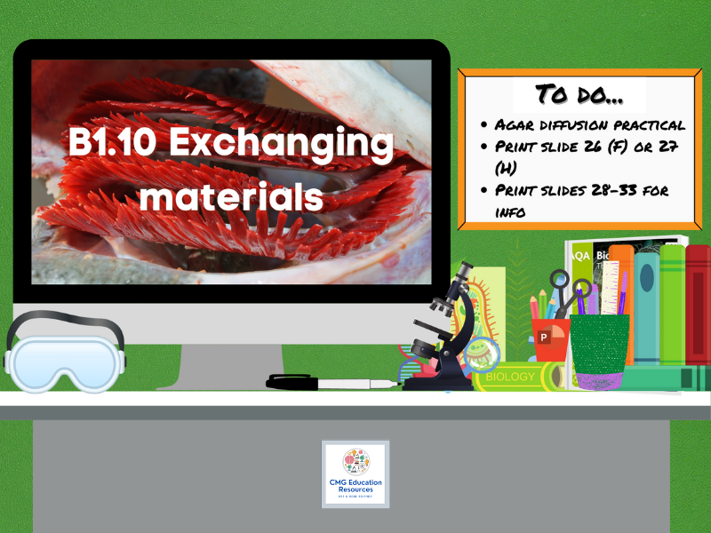 SB1.10 Exchanging materials (AQA 91 GCSE Biology) Teaching Resources