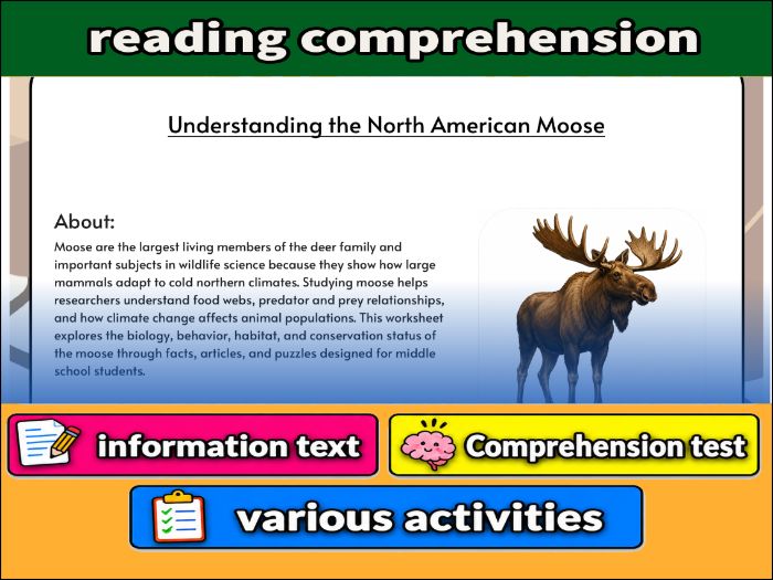 Understanding the North American Moose - zoology & Activities