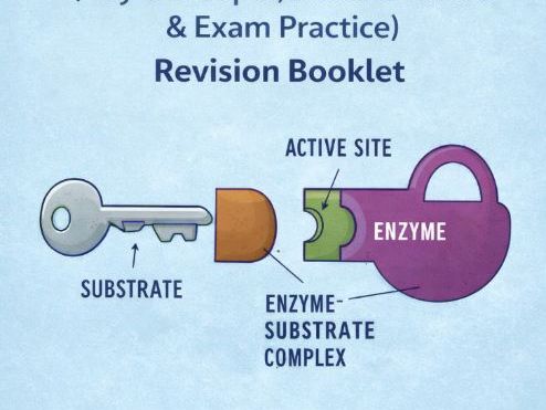 GCSE Biology: Enzymes (Key Concepts, Practical Skills & Exam Practice) Revision Booklet