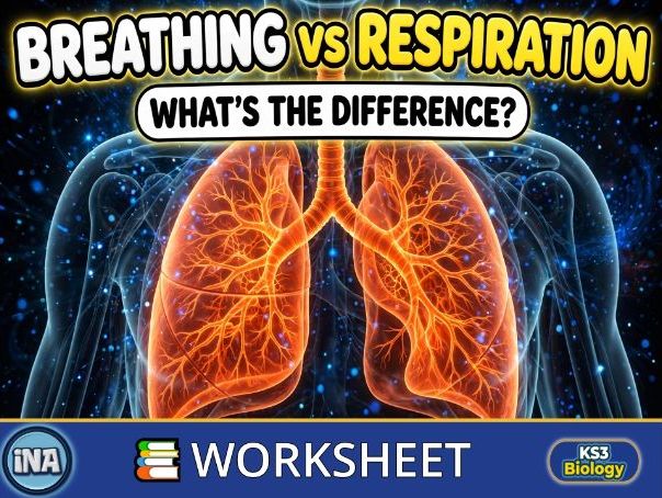 Breathing, Respiration and Gas Exchange - KS3 Biology Worksheet