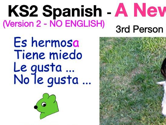 Spanish Story in the 3rd Person - A New Puppy