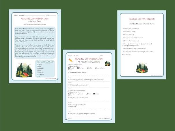 Year 2 Reading Comprehension - All About Foxes and Benny the Brave Beetle