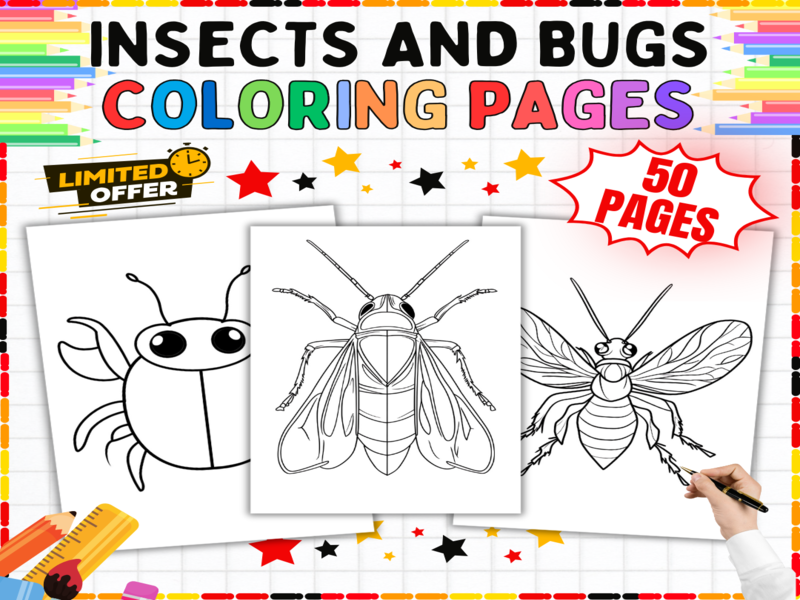 Insects and Bugs Colouring Pages | 50 Printable Worksheets for Early Years Creative Learning