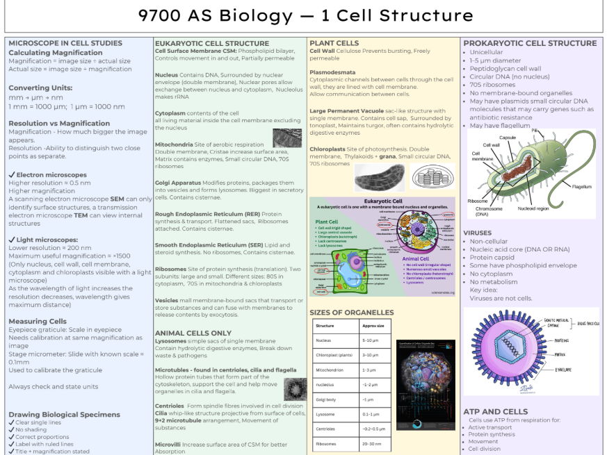 AS Biology - Cells Knowledge Organiser