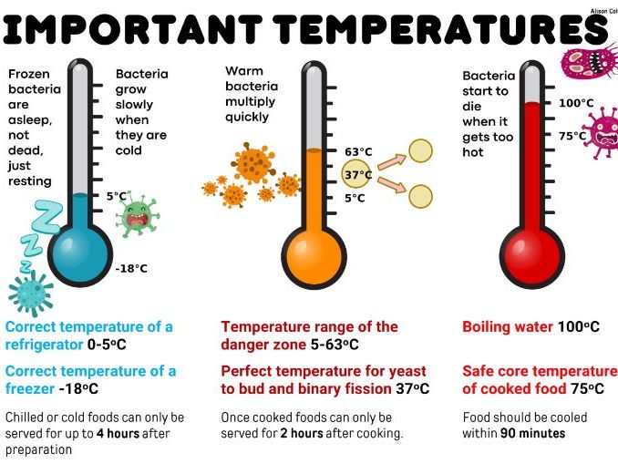 FREE Food Safety Temperature Revision Poster – GCSE Food Tech / Hospitality & Catering