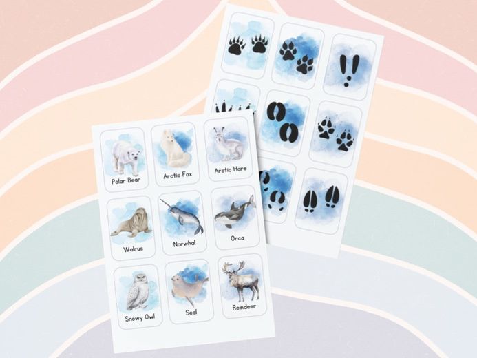 Polar Animal Cards & Matching Footprint