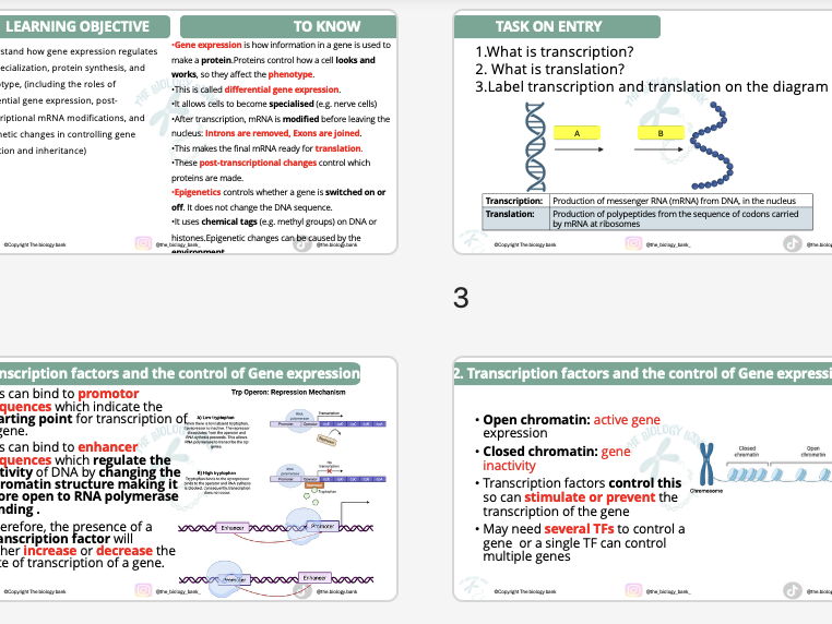 3C.3 Controlling Gene expression