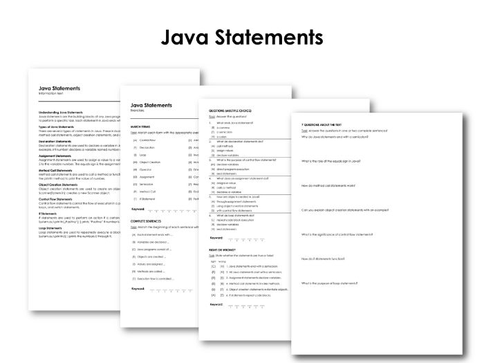 Java statements teaching resources