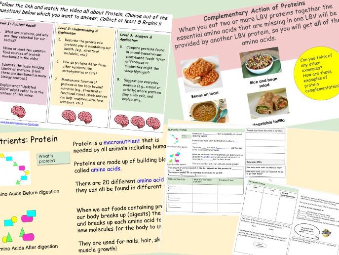 KS4 Lesson and work sheets on Protein