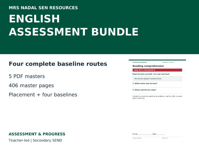 SEN English Assessment Bundle | 4 Levels