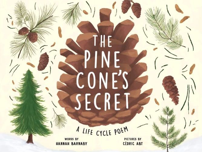 The Pine Cone's Secret by Hannah Barnaby Educator Guide