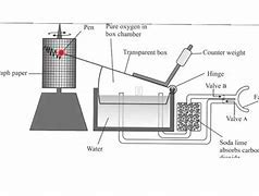 Ocr A Level Biology Measuring Lung Capacity Teaching Resources