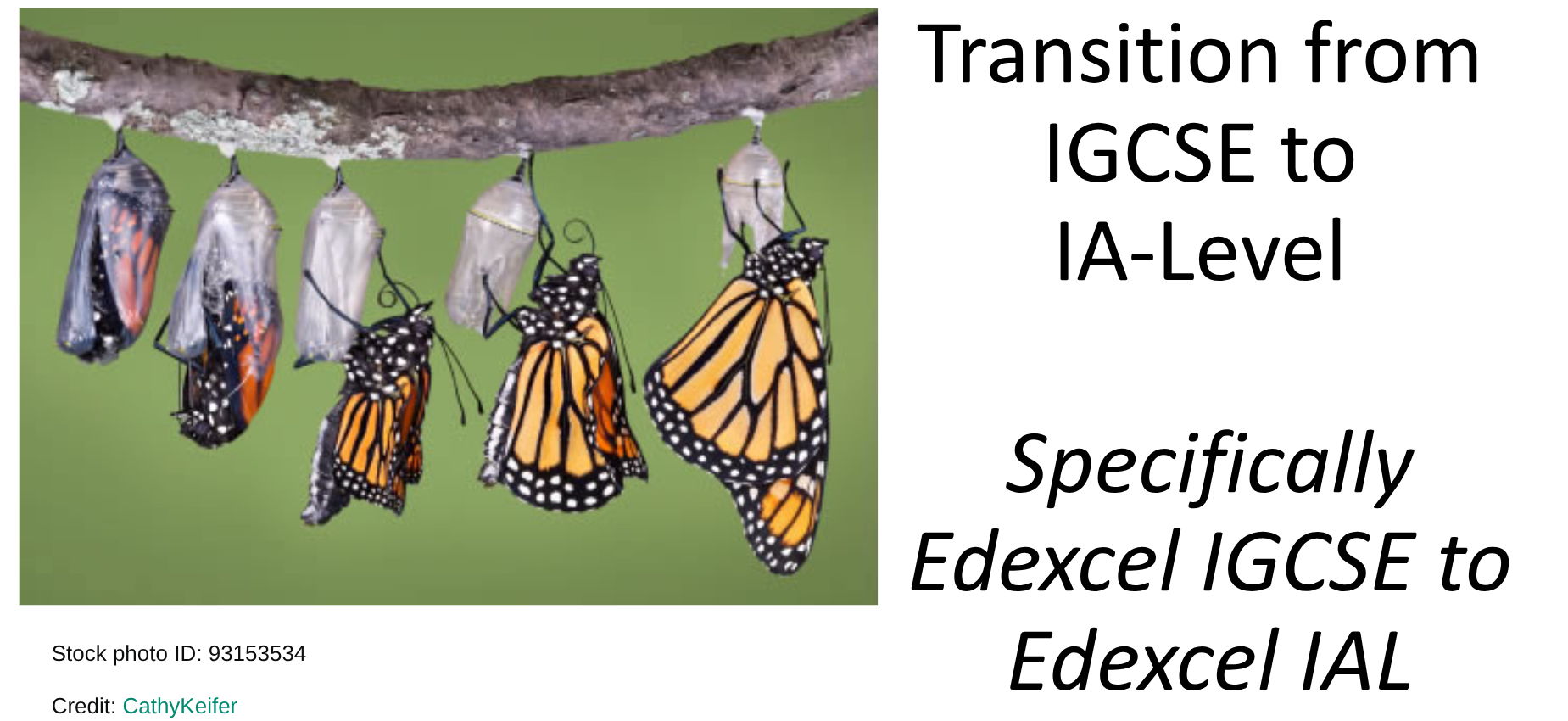 IAL Edexcel Biology Transition Booklet & Baseline Assessment Bundle