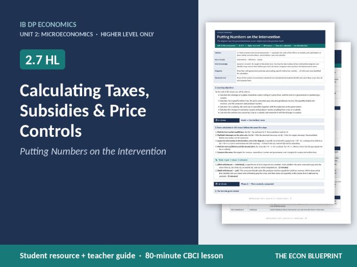 IB Economics 2.7 HL | Calculating Taxes, Subsidies & Price Controls | HL Only
