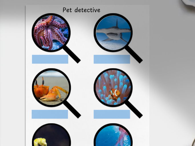Undersea detective