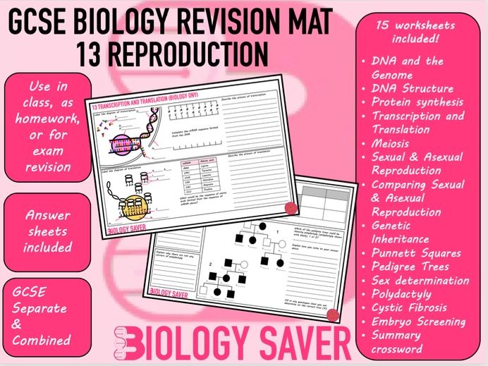 GCSE Biology Revision Mats - 13 Reproduction | Teaching Resources