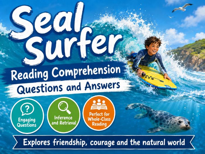 Seal Surfer - Comprehension - LKS2