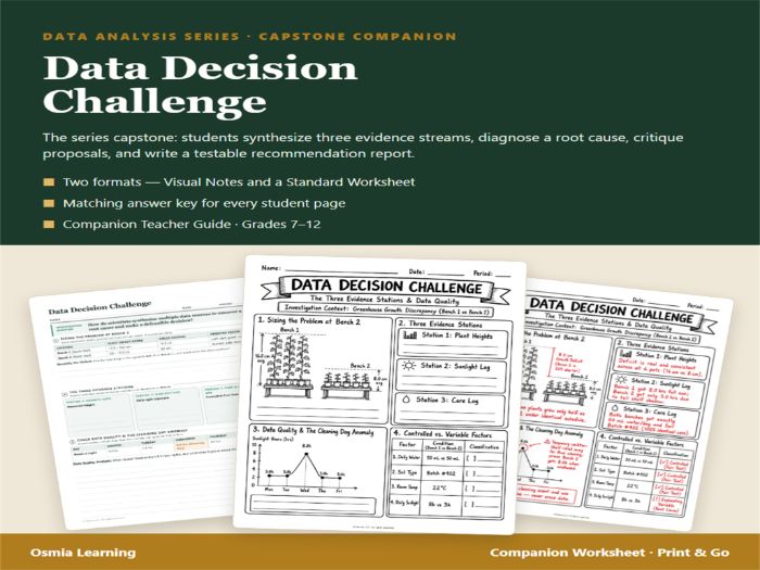 Data Decision Challenge Companion Worksheet