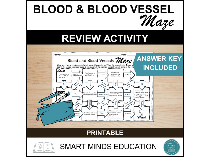 BLOOD AND BLOOD VESSEL REVIEW MAZE WORKSHEET *PRINTABLE*