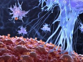 GCSE Biology Infection & Response Revision Lesson – Complete GCSE Biology Revision Pack