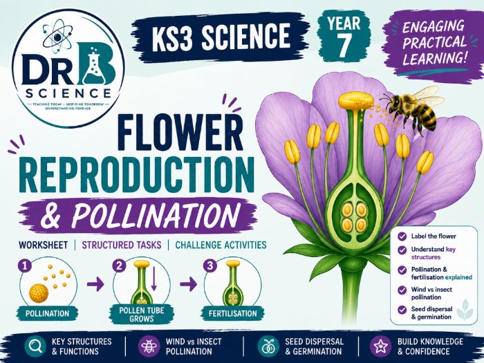 KS3 Flower Reproduction & Pollination