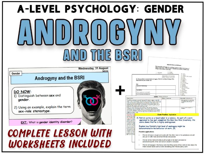 Alevel Psychology ANDROGYNY and the BSRI with 8 mark Exam Question