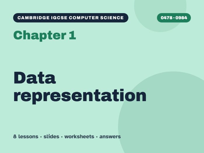 Cambridge IGCSE Computer Science (0478) Chapter 1: Data representation – 8 lessons + worksheets